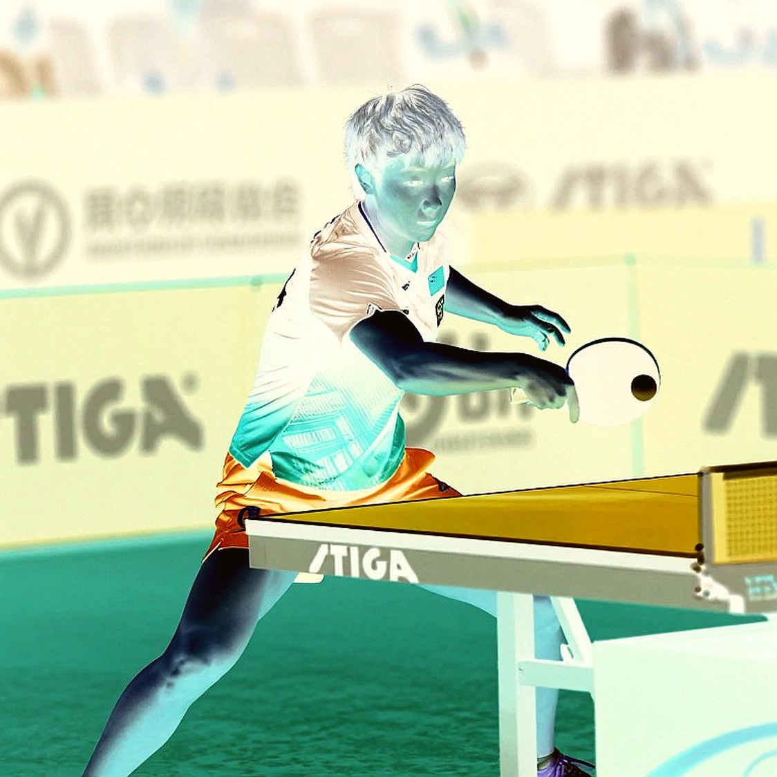 World Hopes Week 2026 trở lại Sheffield: ITTF đổ lại nền móng bóng bàn tuổi 12