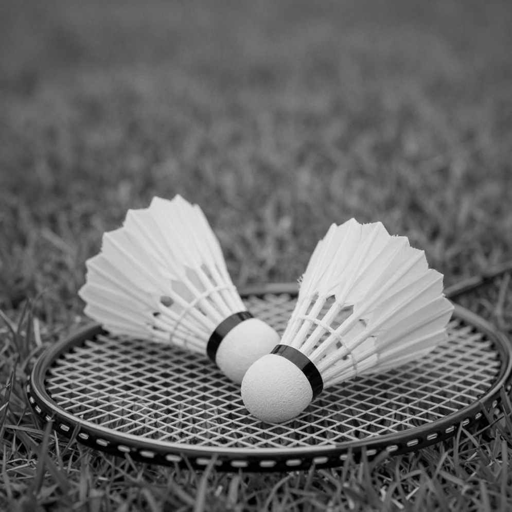 Alwi Farhan trước Asian Games 2026: bài học Momota và khoảng trống mà dữ liệu không lấp nổi