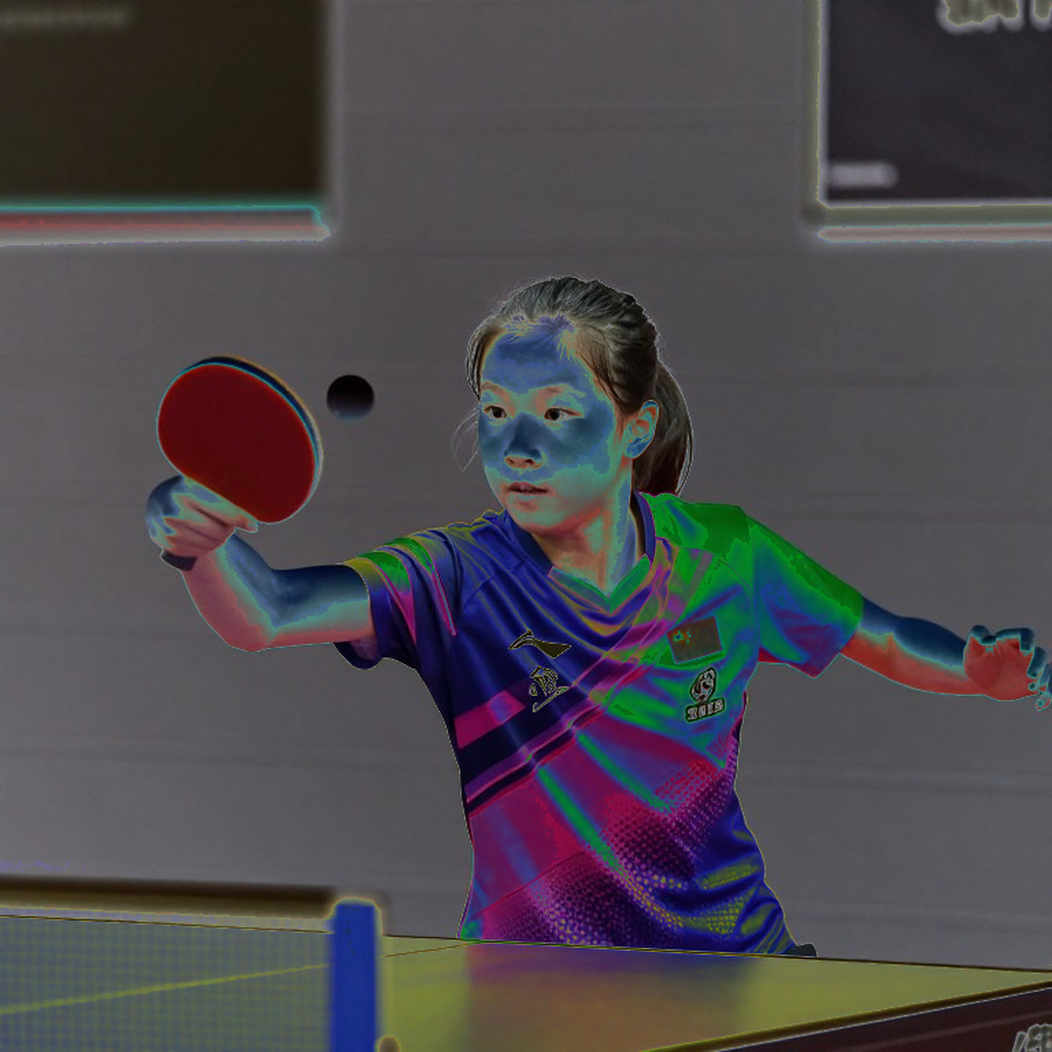 Lứa U11–U13 châu Mỹ ở Katy: 43/56 huy chương và khoảng trống phía sau bảng tổng sắp