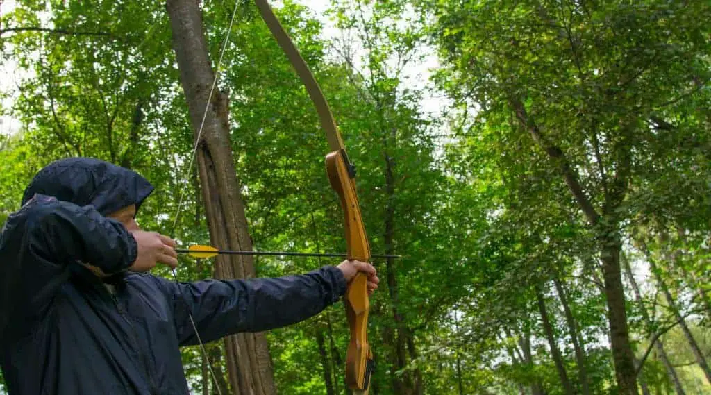 8 Differences Between Field And 3D Archery 8 Differences Between Field And 3D Archery