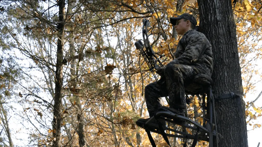 Best Climbing Stands for Bowhunting