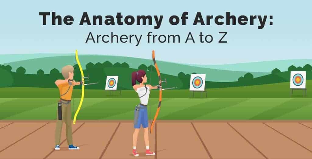 anatomy of archery