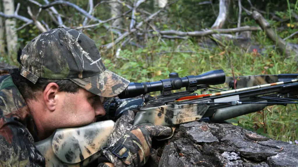 Are Crossbows Good for Home Defense