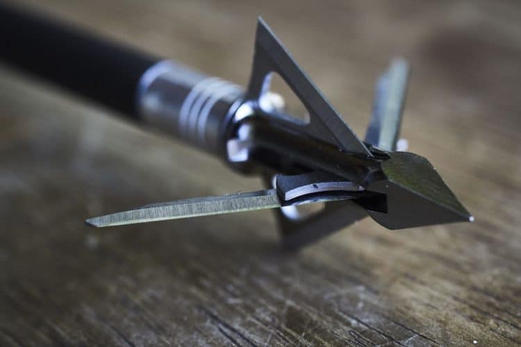 Best Broadheads For Elk