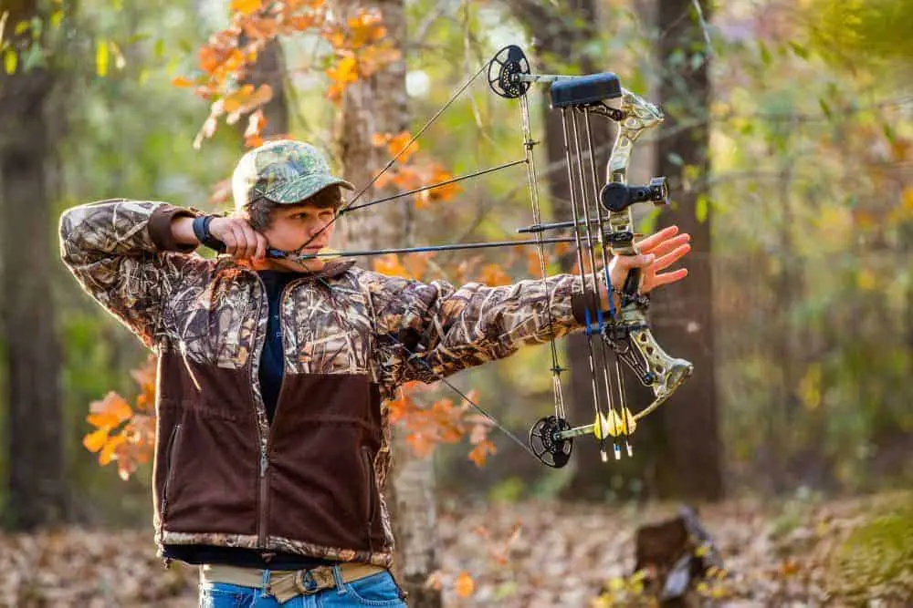 Best Youth Compound Bow The Body Training