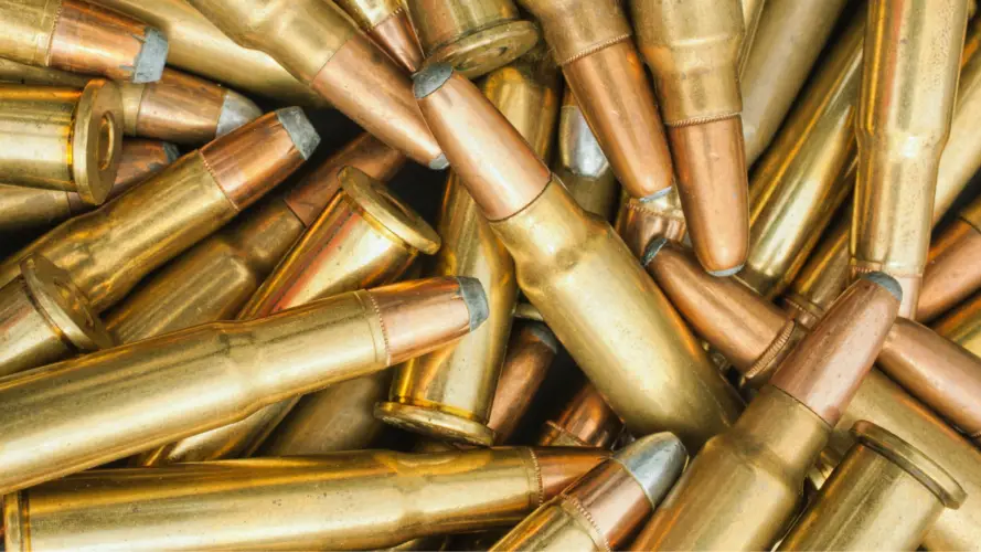 Are Soft Point Bullets Good for Elk